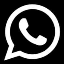Sinapsi Logo
